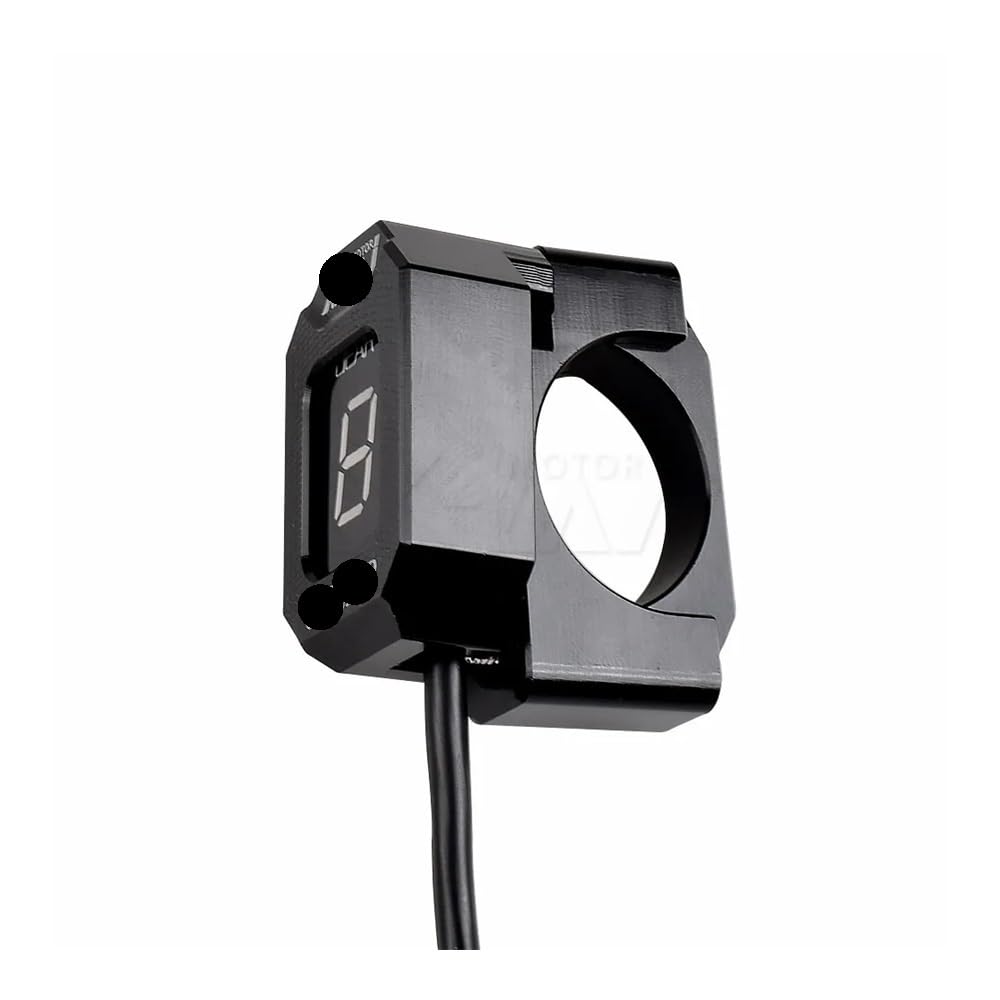 イルカ 耳骨 布袋石 化石 海のお守り 幸運のお守り 南房総 幸運の御